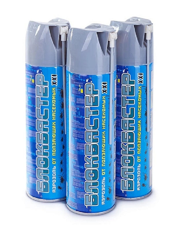 Блокбастер XXI Аэрозоль от ползающих насекомых